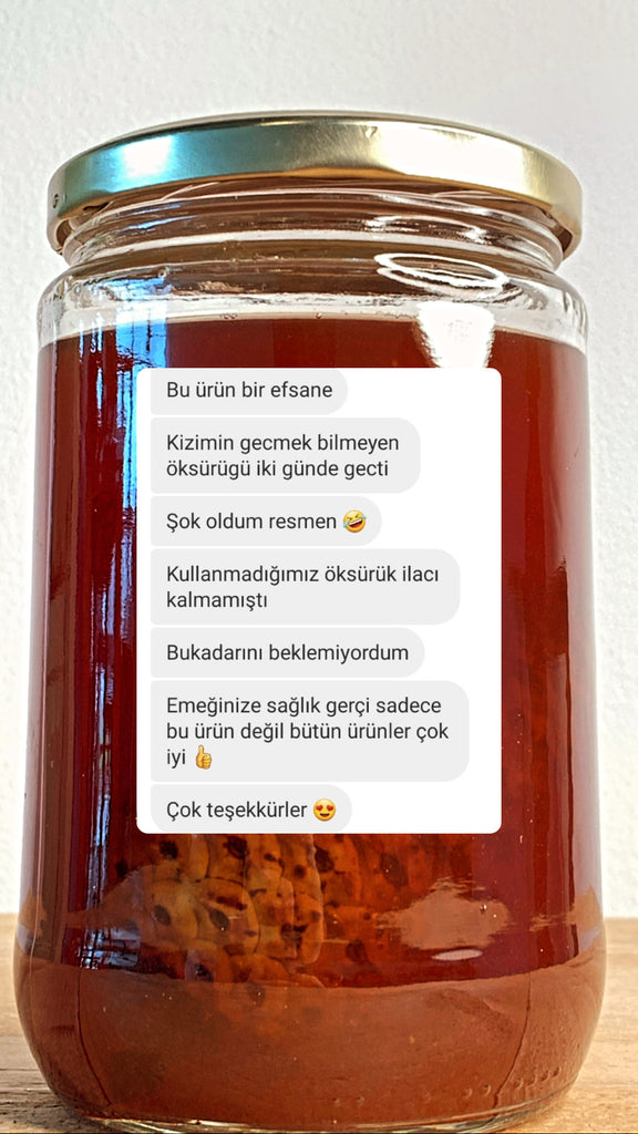 El Yapımı Kozalak Şurubu 750ml. - Dogaltakil